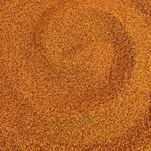 خرید خاکشیر