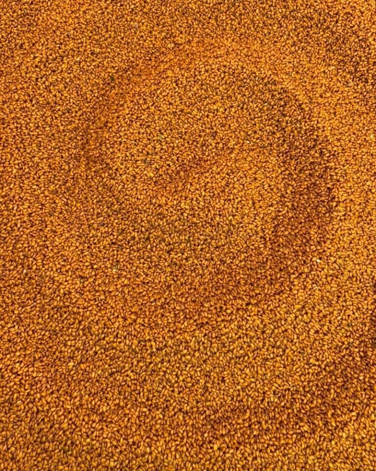 خرید خاکشیر