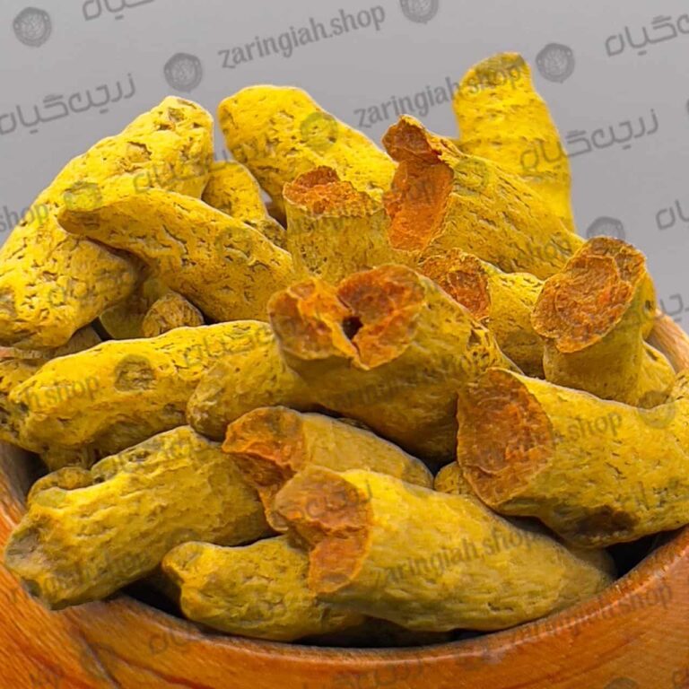 زردچوبه قلم عمده