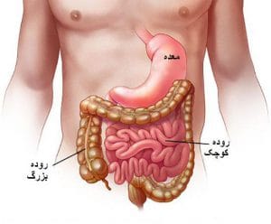 درمان گیاهی عفونت معده و روده