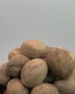 جوز هندی درشت مرغوب