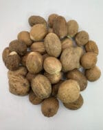 خرید جوز هندی درشت