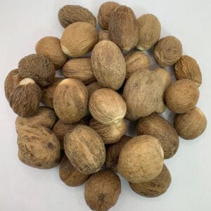 خرید جوز هندی درشت