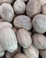 قیمت جوز هندی درشت