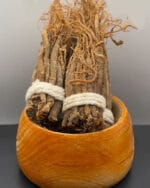 جینسینگ قرمز دختر پیچ