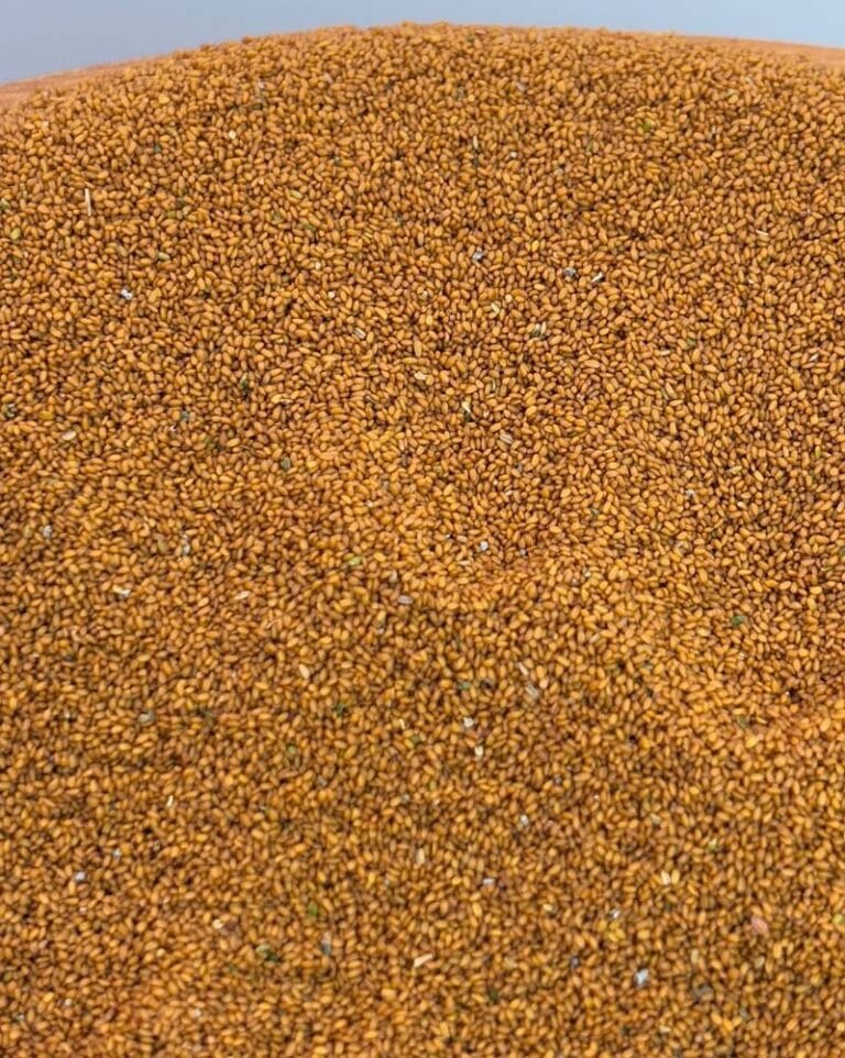 خاکشیر سوپر مرغوب