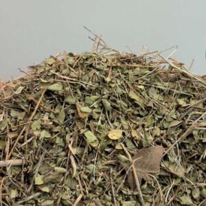 خرید آویشن شیرازی