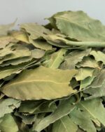 خرید برگ بو سرت صادراتی