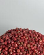 فلفل دان صورتی مرغوب