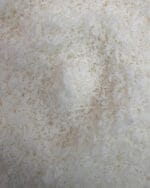 قیمت پودر نارگیل چرب سریلانکا