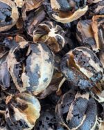 لیمو پرک توپی