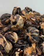 لیمو پرک توپی عمده