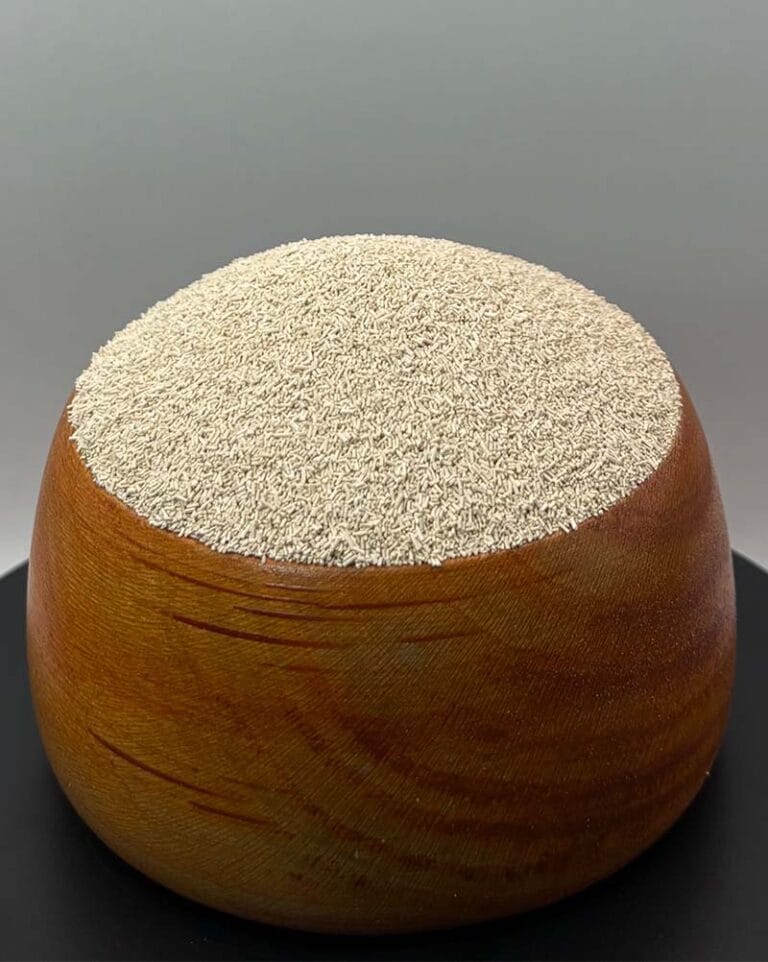 مایه خمیر
