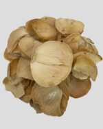 موسیر پلاک سوپر مرغوب