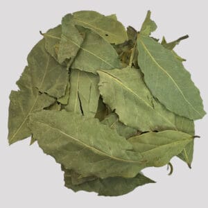 نمونه برگ بو سرت صادراتی