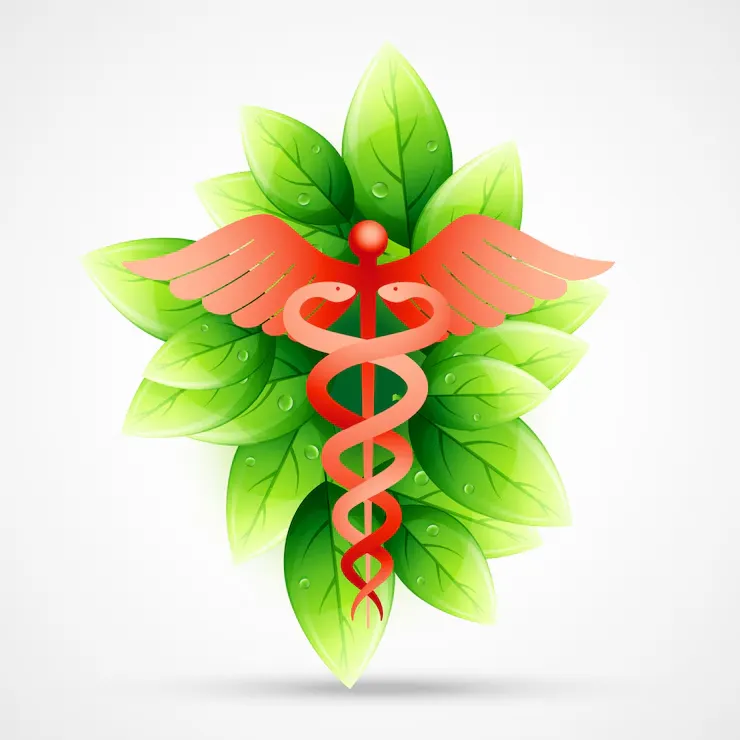 مقایسه‌ی طب سنتی و طب نوین در درمان بیماری‌های گوارشی