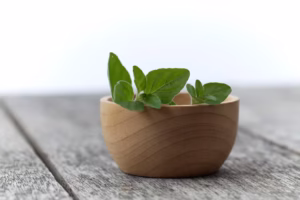 تاثیر گیاهان دارویی در تقویت سیستم تنفسی و درمان سرماخوردگی