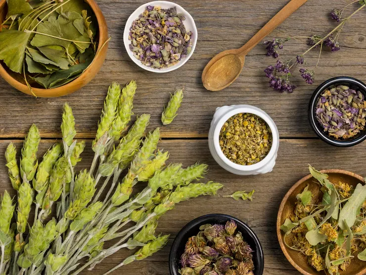 طب سنتی در درمان اضطراب و افسردگی: گیاهان آرام‌بخش