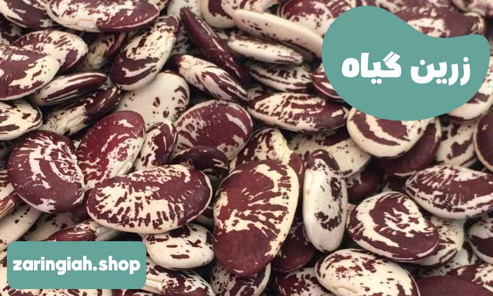 فواید لوبیا عروس برای بدن