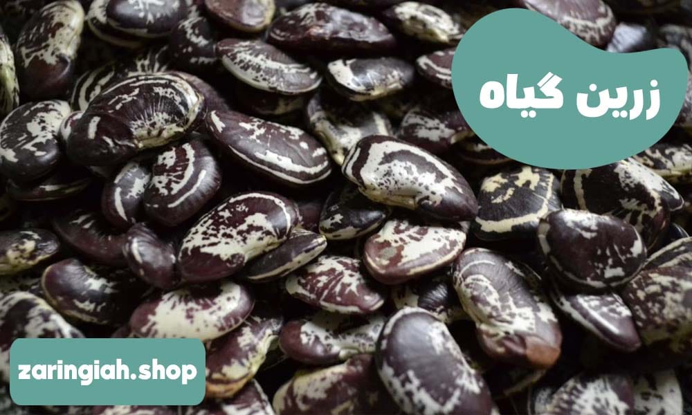 لوبیا عروس چیست