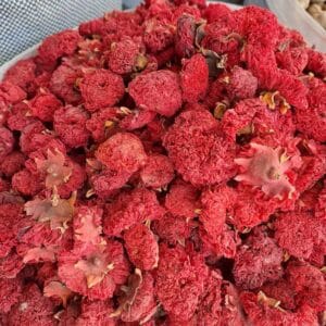 گلنار فارسی  صادراتی