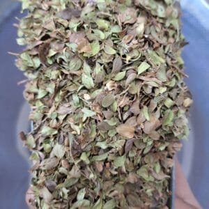 آویشن خارجی سرت