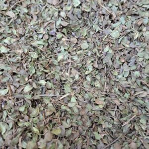 آویشن خارجی 102