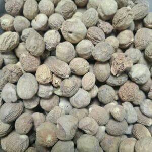 جوز هندی اسیابی