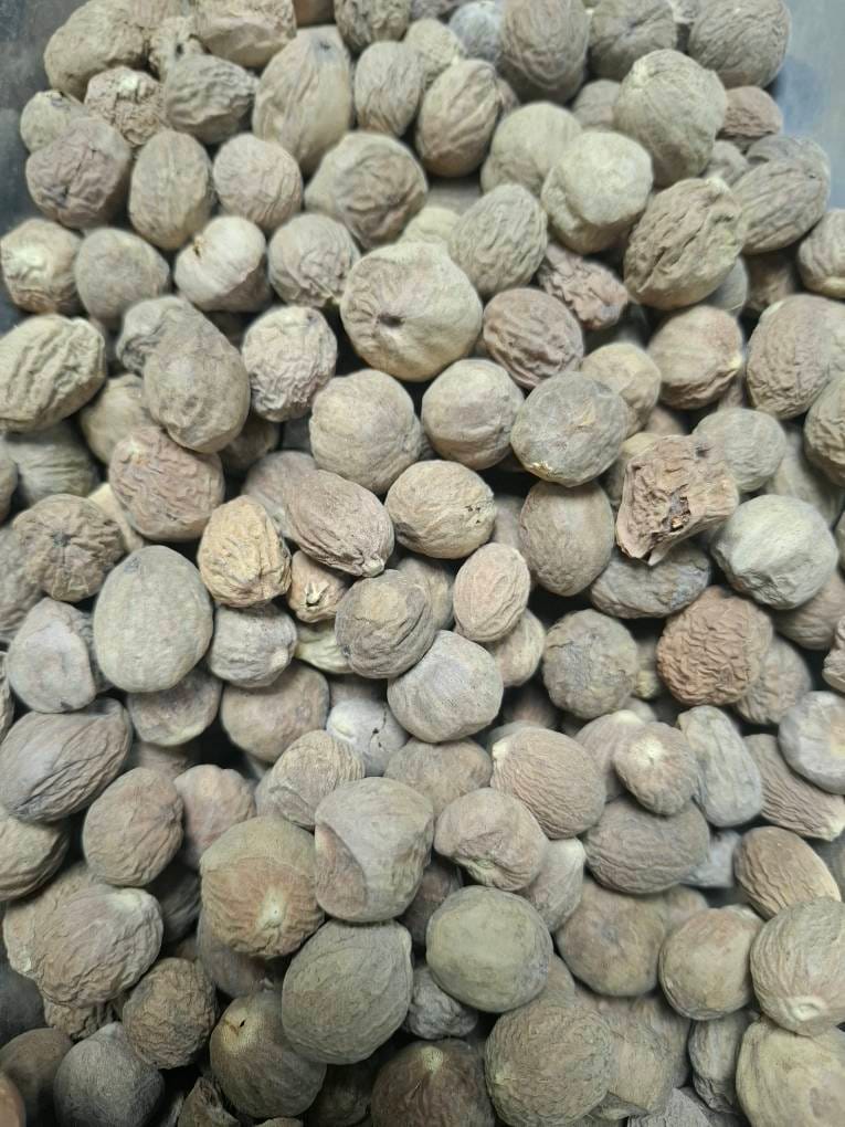 جوز هندی اسیابی