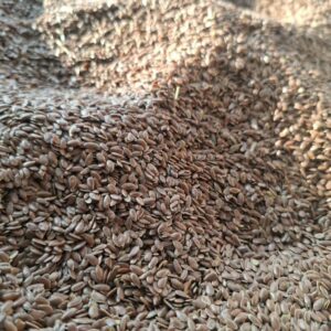 کتان قرمز