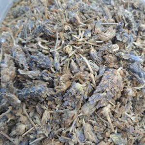 اسطوخودوس شامی