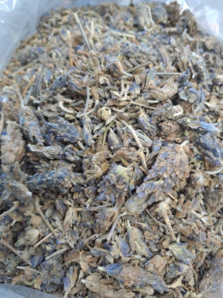 اسطوخودوس شامی