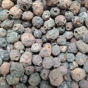 کیالک (سرخ ولیک)