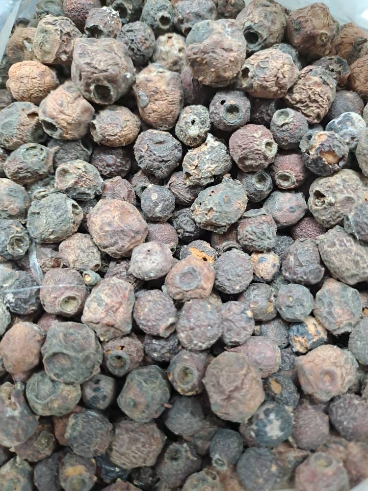 کیالک (سرخ ولیک)