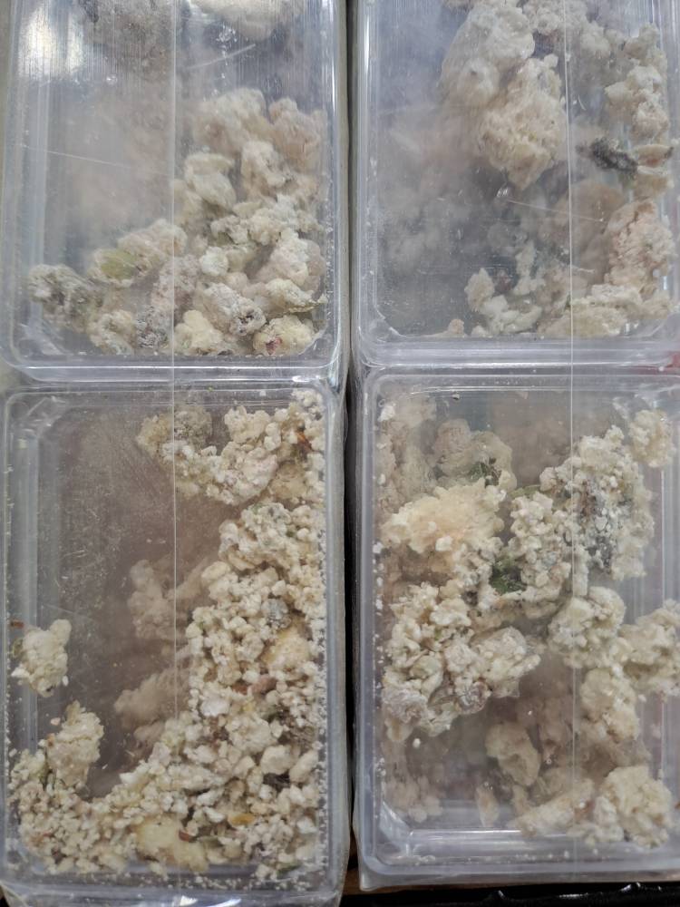 شیرخشت بسته ای