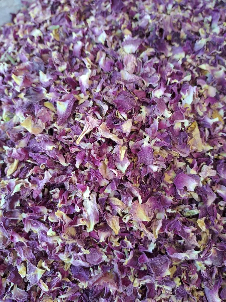 گل مربایی
