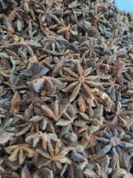 بادیان ستاره ای