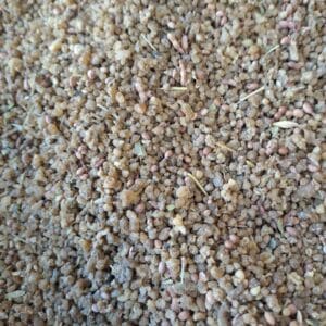 ترنجبین اعلا