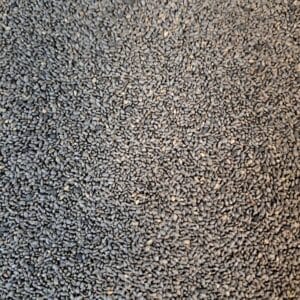 تخم شربتی درشت هندی