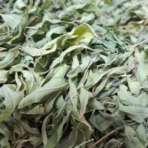 برگ به لیمو