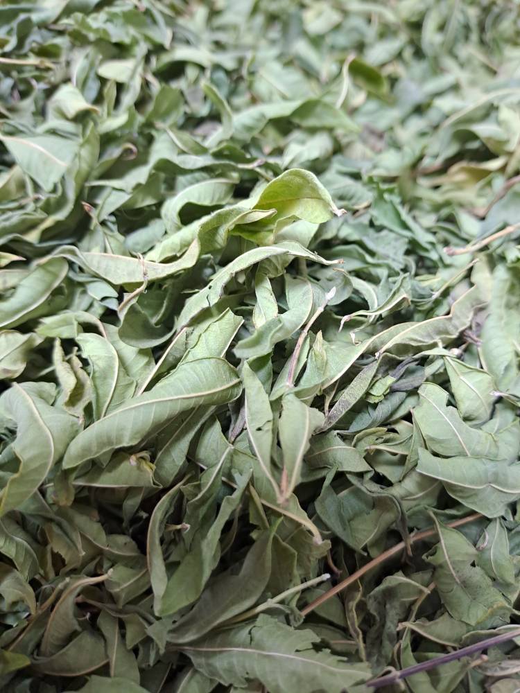 برگ به لیمو