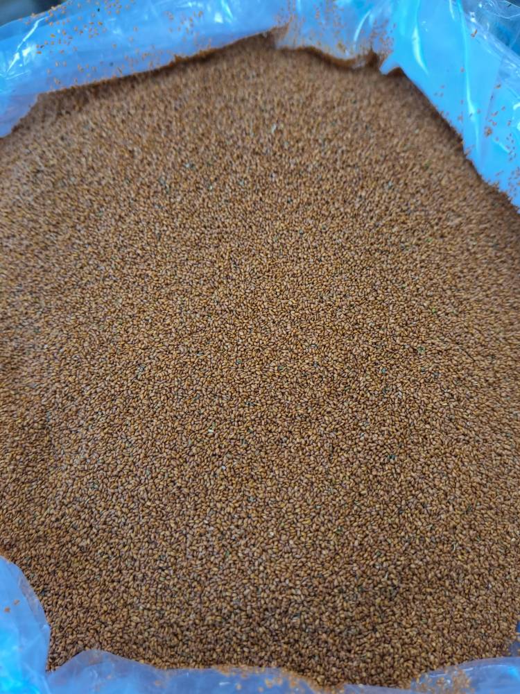 خاکشیر سوپر لیزر