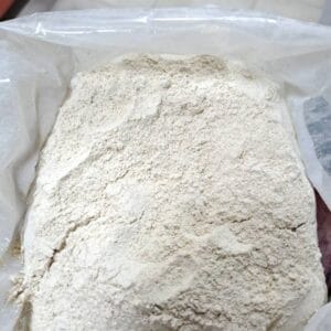 جوانه گندم