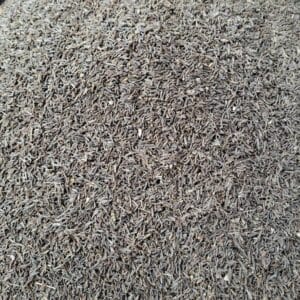 شاه زیره (جقش)