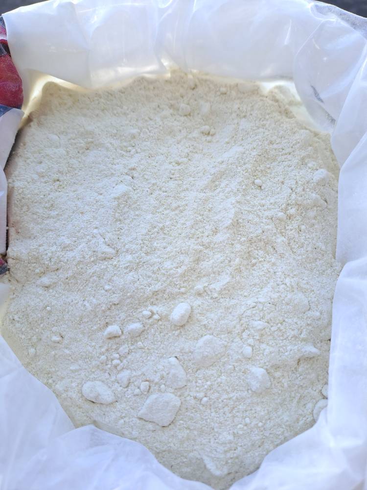 پودر پیاز 70 درصد