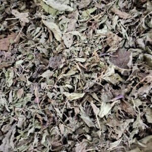 بادرنجبویه