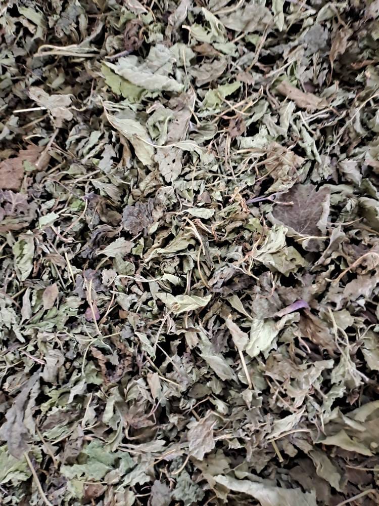 بادرنجبویه