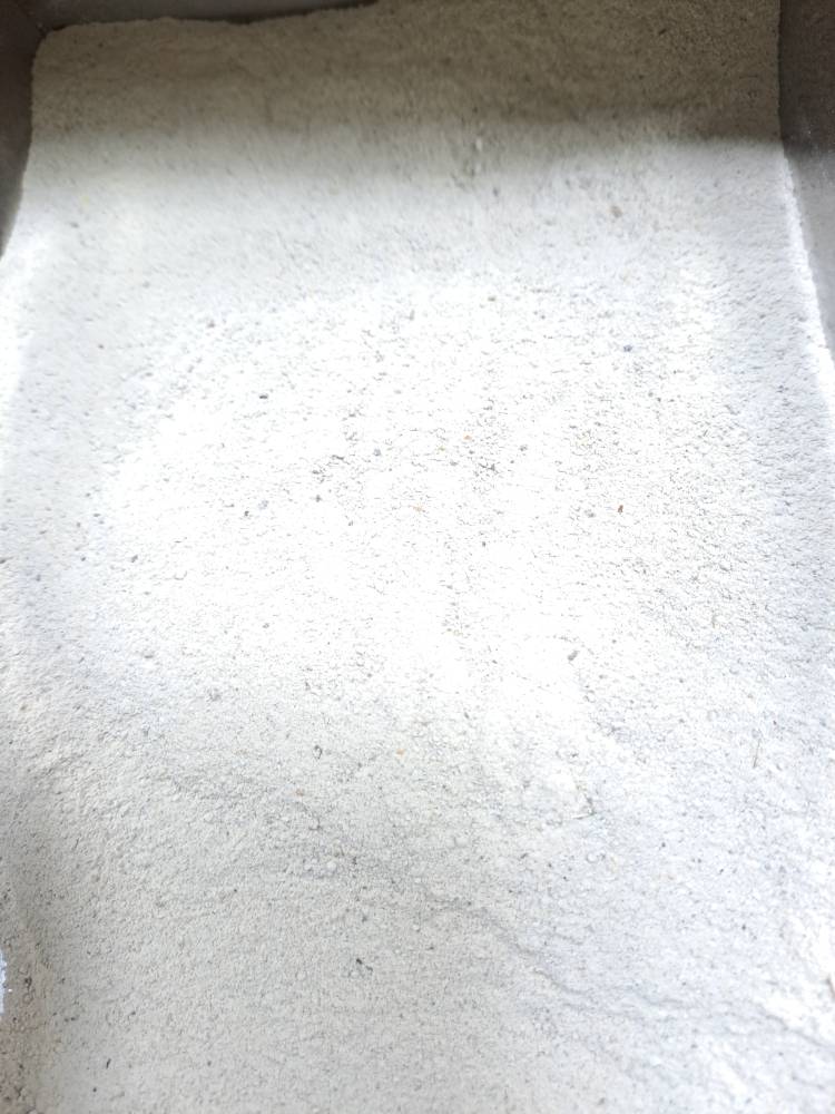 گل سرشور