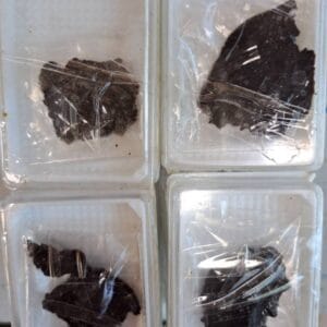 مومیایی سیاه