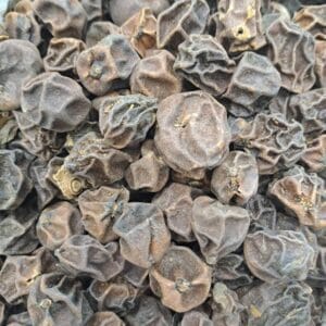 سپستان درشت